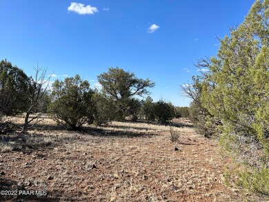 2d Stockmans Rd, Ash Fork, AZ 86320 - photo 4