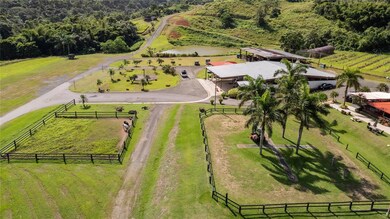 0 Hacienda Cascada unit MFRPR9111722, Aguas Buenas, PR 00703 - photo 6