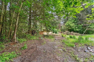 19106 255th Street Ct E, Orting, WA 98360 - photo 4