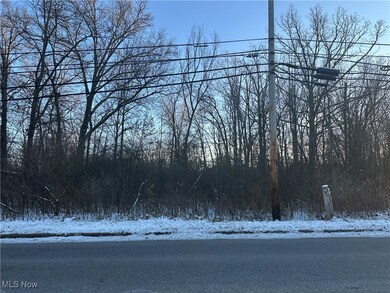 0 Norquest Blvd unit 5175593, Austintown Township, OH 44515 - photo 5