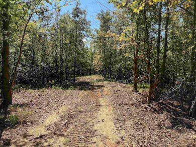 0 Bethuel Rd unit Lot 6, Unincorporated, TN 38053 - photo 3