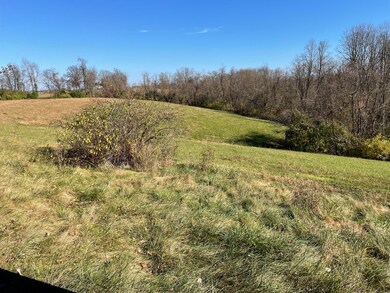 1034 Pea Ridge, Augusta, KY 41002 - photo 7