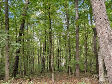 0 MacAllan Dr unit 16, Waynesville, NC 28786 - photo 5