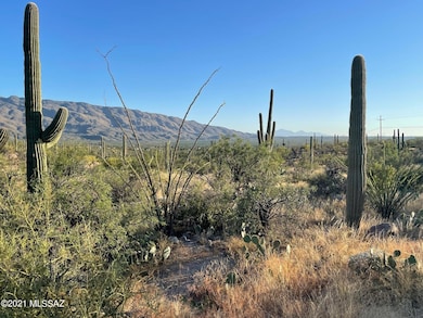 3051 N Placita de Nazca unit 1, Tucson, AZ 85749 - photo 6