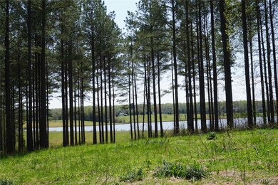 3729 Archies Way, Powhatan, VA 23139 - photo 5