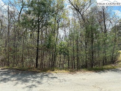TBD New River Overlook (Lot 11), West Jefferson, NC 28694 - photo 7