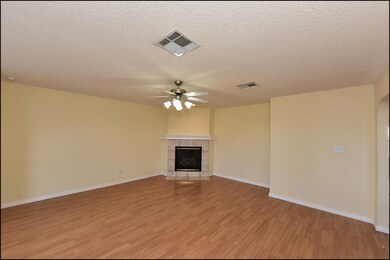 14292 Desert Ash Dr, Horizon City, TX 79928 - photo 4