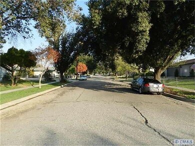 Quiet Street with Lots of Trees