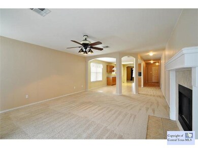 273 Spring Branch Loop, Kyle, TX 78640 - photo 3