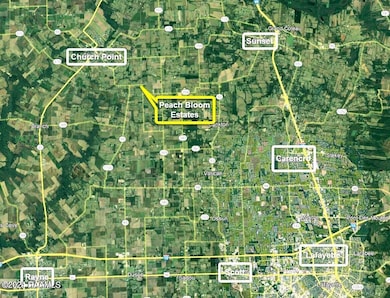 2700 Blk Peach Bloom Hwy unit Lot 5, Church Point, LA 70525 - photo 5