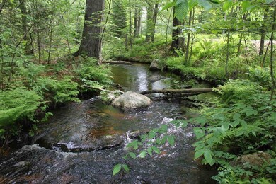 1147 Province Lake Rd, Effingham, NH 03882 - photo 4