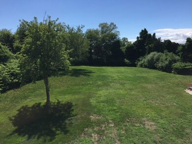 View of Back Yard.
