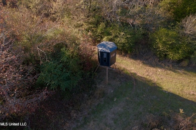 0 County Road 4210, Sallis, MS 39160 - photo 4