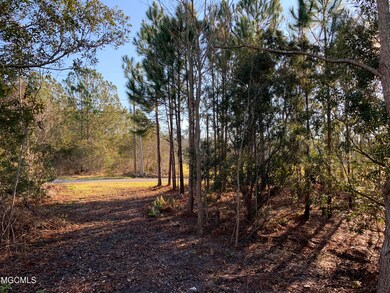 St. Martin Rd. Pic 4