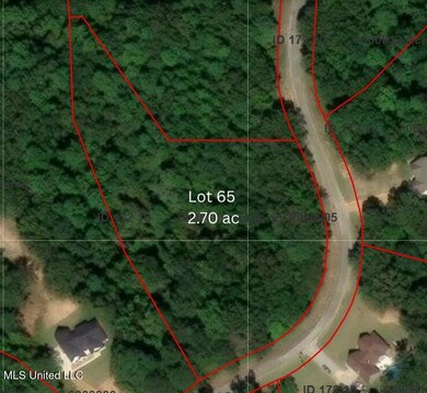 lot 65