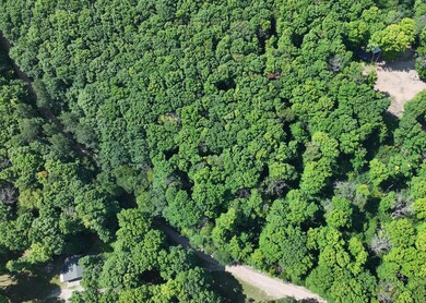 DJI_20240728085848_0387_D