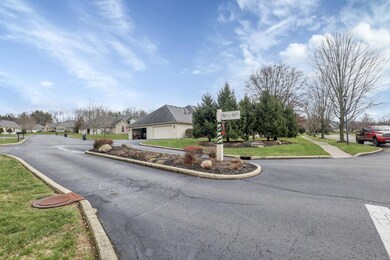 5-web-or-mls-0N4A7612