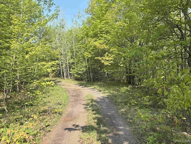 TBD B Gorton Rd, Franklin Township, MI 49930 - photo 3