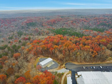 0 Hogan Pond Ln unit 25607548, Ball Ground, GA 30107 - photo 6