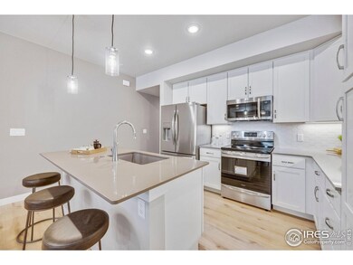 968 Birdwhistle Ln unit 6, Fort Collins, CO 80524 - photo 7