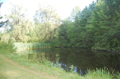 Pond on property