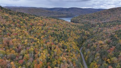 L1 Huntley Hollow Rd, Delancey, NY 13752 - photo 4