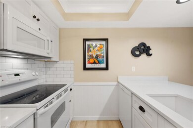 5220 Bonita Beach Rd SW unit 111, Bonita Springs, FL 34134 - photo 6