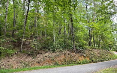 Additional View