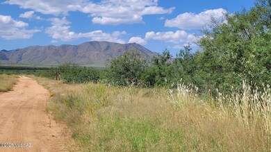 10 AC W Trigger Ln, Cochise, AZ 85606 - photo 4