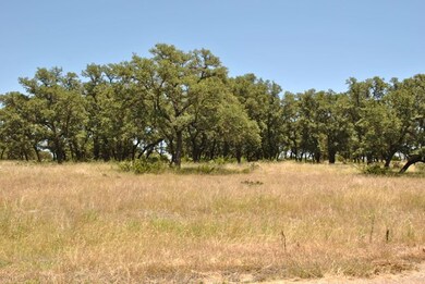 16 Sugar Creek Trail, Fredericksburg, TX 78624 - photo 5