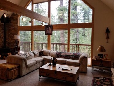 Letting the Forest Inside