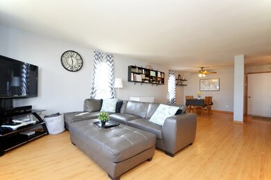 1905 Cherrywood Ct, Joliet, IL 60435 - photo 5