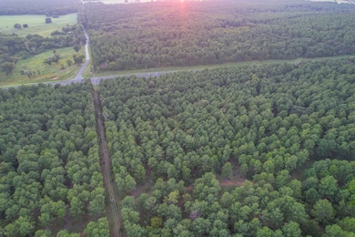 0 E S Sh 155, Frankston, TX 75763 - photo 2