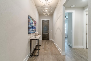 433 Skipping Cedar St, San Marcos, TX 78666 - photo 4