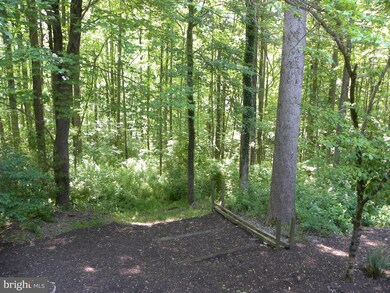 3018 White Beech Dr, Harwood, MD 20776 - photo 6