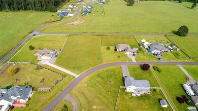 12322 Maxvale Dr SE, Yelm, WA 98597 - photo 6