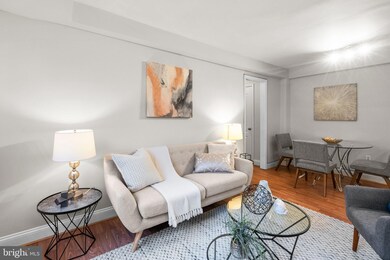 738 Longfellow St NW unit 113, Washington, DC 20011 - photo 4