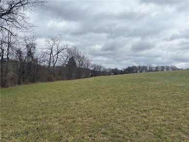 400 Turkeyfoot Rd, Venetia, PA 15367 - photo 4
