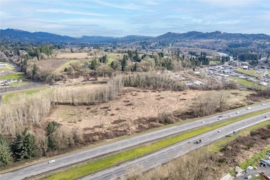 9565 Old Pacific Hwy S, Woodland, WA 98674 - photo 3