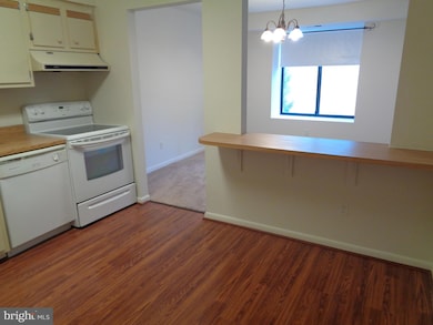 6 Bailiffs Ct unit 301, Lutherville Timonium, MD 21093 - photo 7