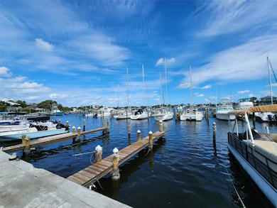 The marina within community. dockspace for boats upon availibility