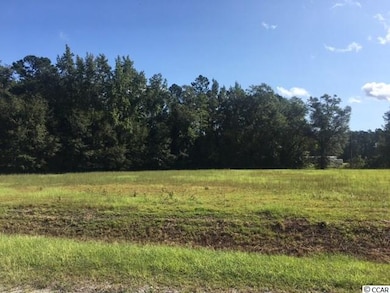 2.44 Acres Holcombe Ln, Conway, SC 29527 - photo 5