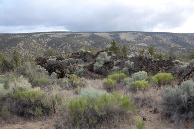 Phillips Hwy 20 3