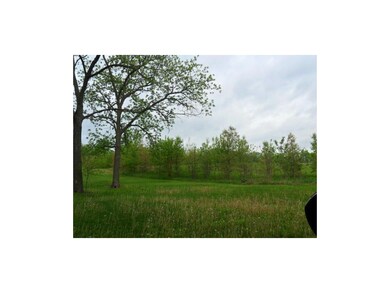 large treed lot