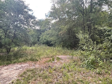 210 C N Main St SW, Milledgeville, GA 31061 - photo 2