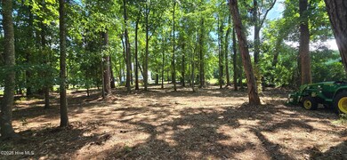 Lot 1 Swan Point Rd, River Road, NC 27889 - photo 3