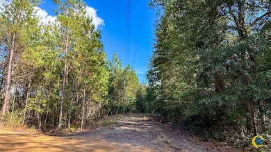 0 Peurifoy Rd unit 25510565, Walterboro, SC 29488 - photo 6