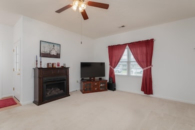 490 Leola Loop, Stanley, VA 22851 - photo 4