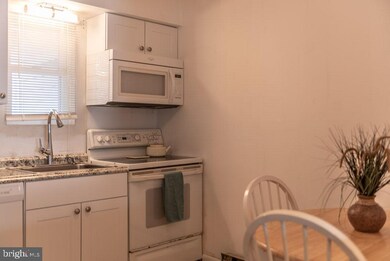 2818 Plover Dr unit 2A1, Ocean City, MD 21842 - photo 3