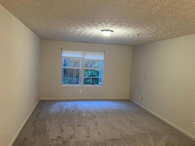 Unfurnished room with carpet flooring and a textured ceiling